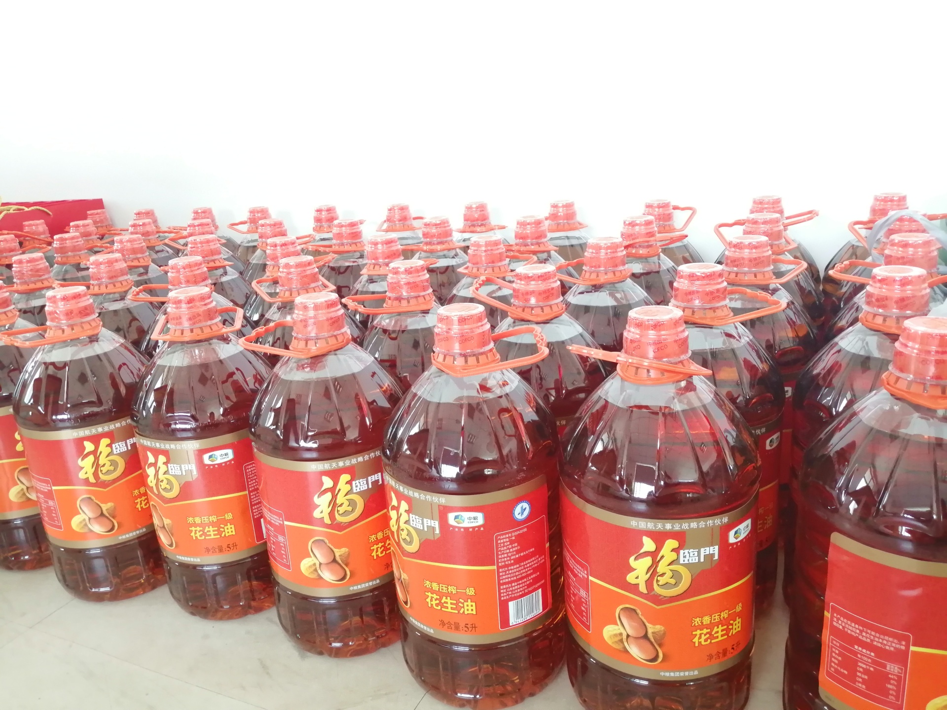 б47563ба-184д-11эк-8152-е65136бе0874